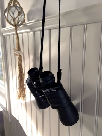 Watch whales right from the deck - you might not even need these!
