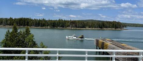 Watch the lobster boats haul traps  in front of the cottage. 