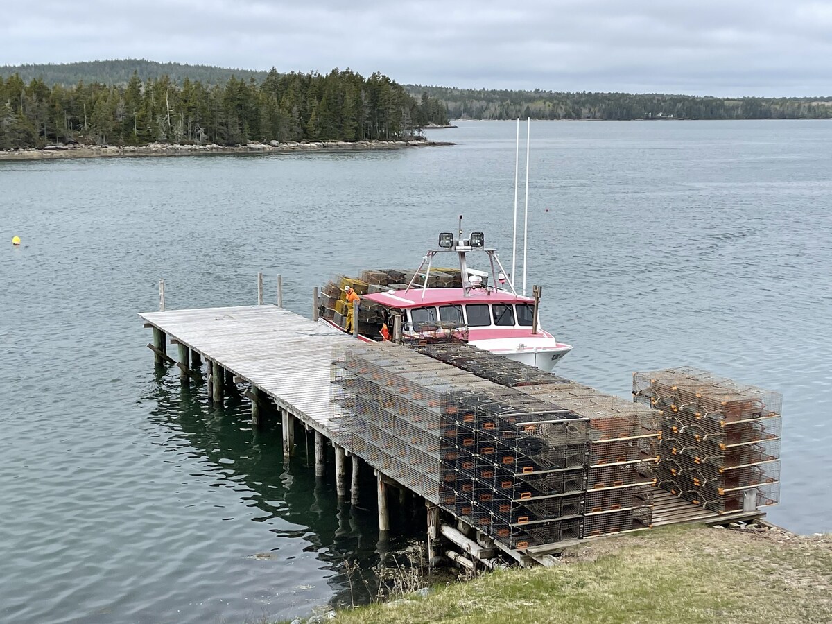 Deep water Retreat on Dyers Bay/Amazing Sunsets, King bed on request, quiet