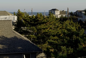 View from Roof Deck