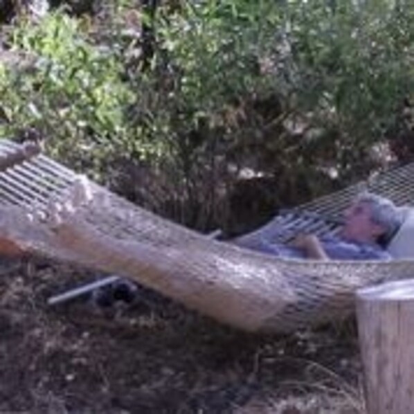 Creekside Hammock