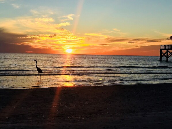 Unbelievable Florida sunset right in front of Condo, Great Fishing!