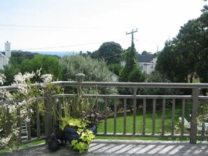 Ocean/Backyard view from deck