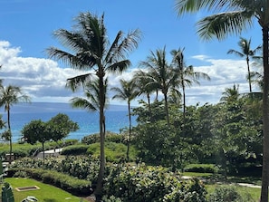 View from the lanai