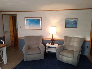 Living room chairs