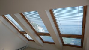 3rd floor master bedroom view through skylights