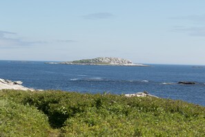 Ranta