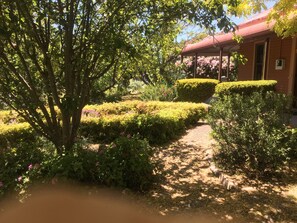 Heritage garden, View from driveway
