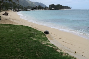 Lawn and distance to beach