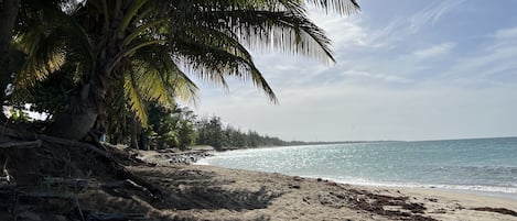 Spiaggia