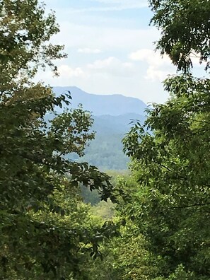 Gorgeous Mountain Views 