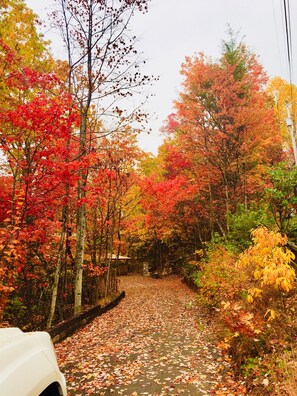 Driveway in Fall