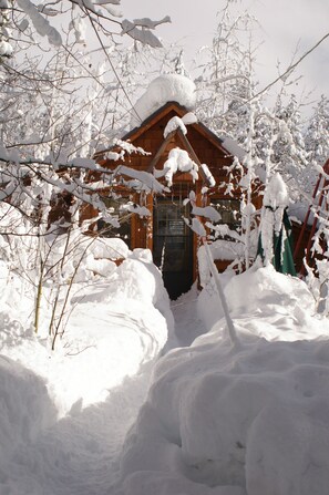 Tahoe Pinewood cabin after a fresh winter storm