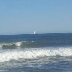 Fun in the waves