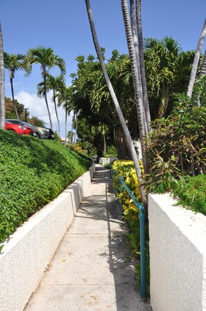 Walkway to the beach, pool and restaurants