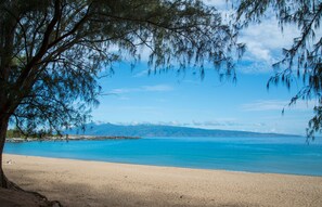 Nearby Beach