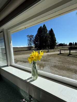 Kitchen bench best view of the southern alps.