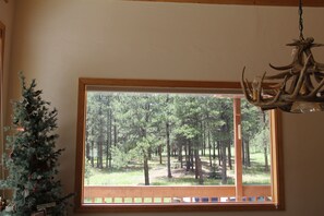 New picture window in dining area overlooking meadow.  Great wildlife view!