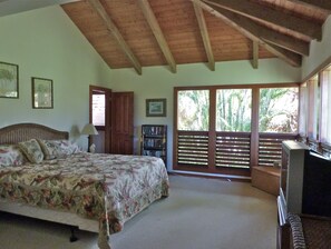 Master Bedroom with King Bed, TV and DVD player