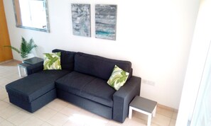 Living room with comfortable sofa bed