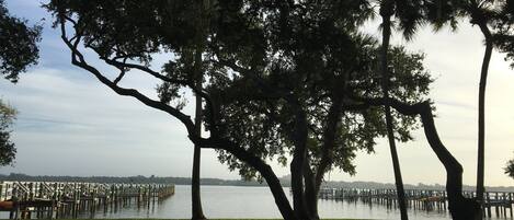 Our condo is situated right on the Intracoastal Waterway