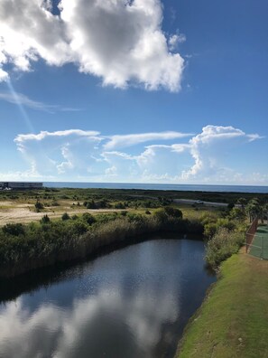 Enjoy the ocean as well as private lagoon with turtles, fish, and wildlife!
