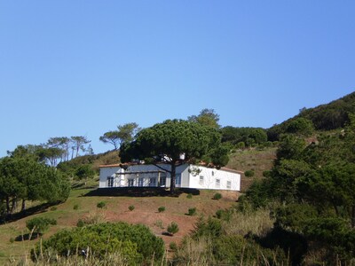 Picture of villa