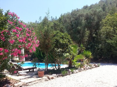 Villa Passion is a charming vacation with private pool & garden in Kayaköy