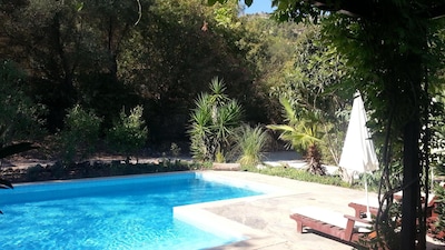 Villa Passion is a charming vacation with private pool & garden in Kayaköy