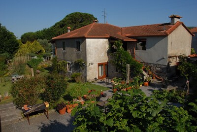 Ancora Artist Residence