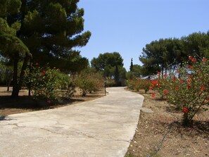 Property grounds