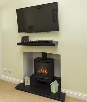 Gas fire and smart TV