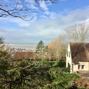 vue du haut du jardin