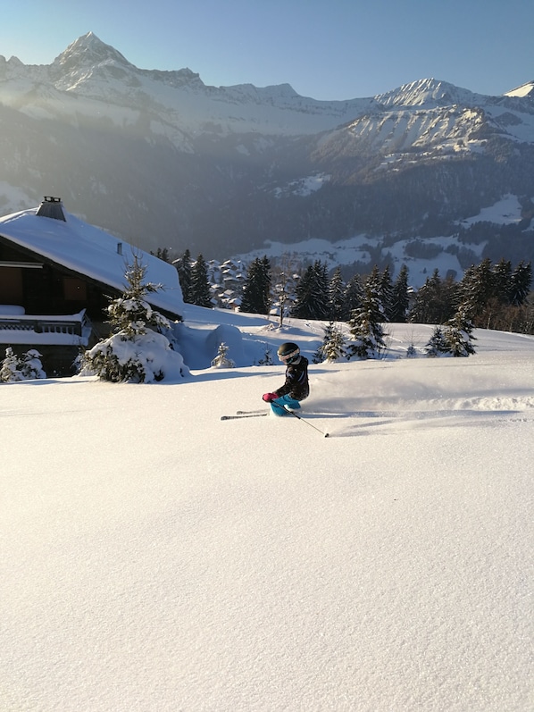 Snow and ski sports