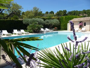 Piscine, environnement