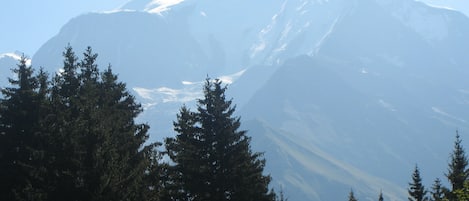 vue de la terrasse 