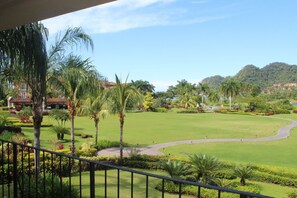 View from the terrace. Pool #3 in the background.