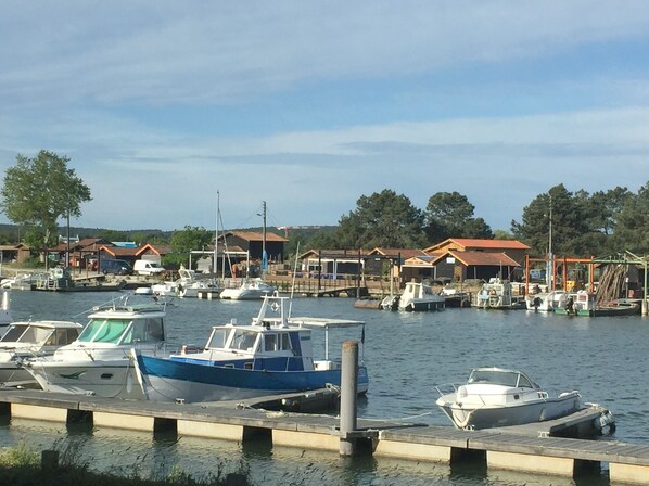 Marina