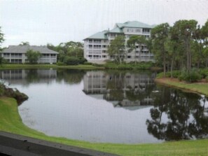 View from lanai overlooks Turtle Lake. One of best views in complex. 
