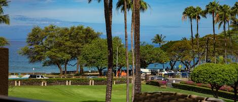 Lanai View