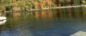 View in fall