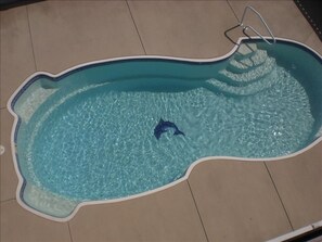 Private Dolphin Pool