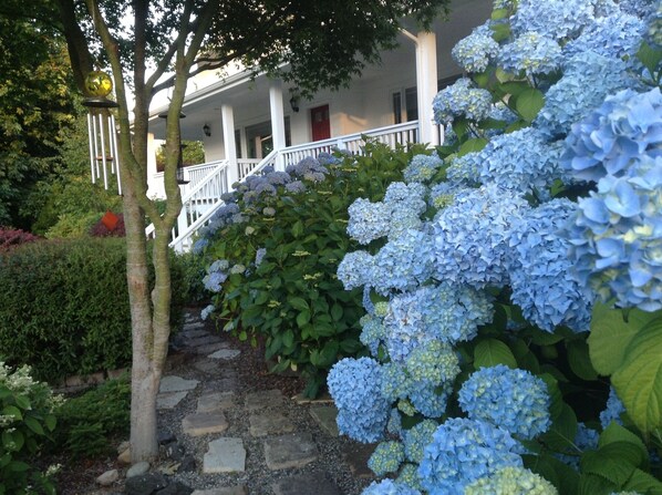 Charming front garden walkway.