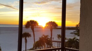 Christmas Sunset