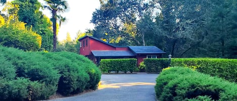 A view of our woodsy cottage from the driveway entrance, bordered by Junipers.