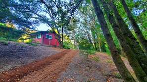 View of the backyard of the cottage (side facing the road), looking up the path