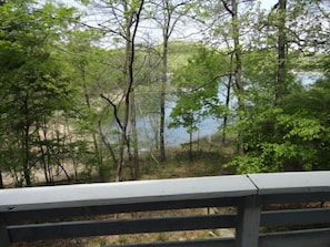 View from Deck