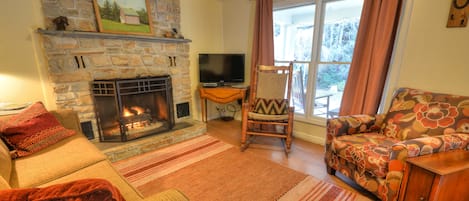 The cozy living room with fireplace, TV, DVD, and sleeper sofa. 