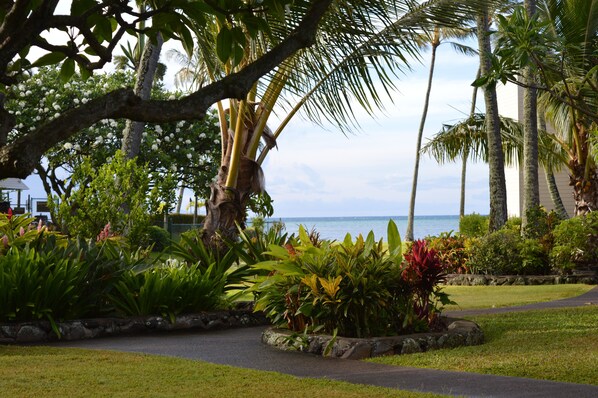 Peace and quiet from the lanai.