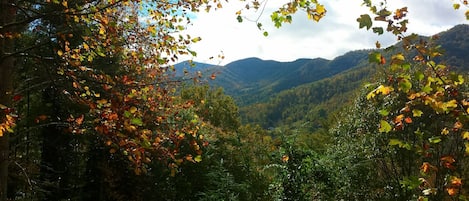 Balsam Mt. View from Covered Porch